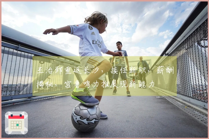 王治郅重返长沙，接任新职，薪酬揭秘，宫鲁鸣力推展现新能力